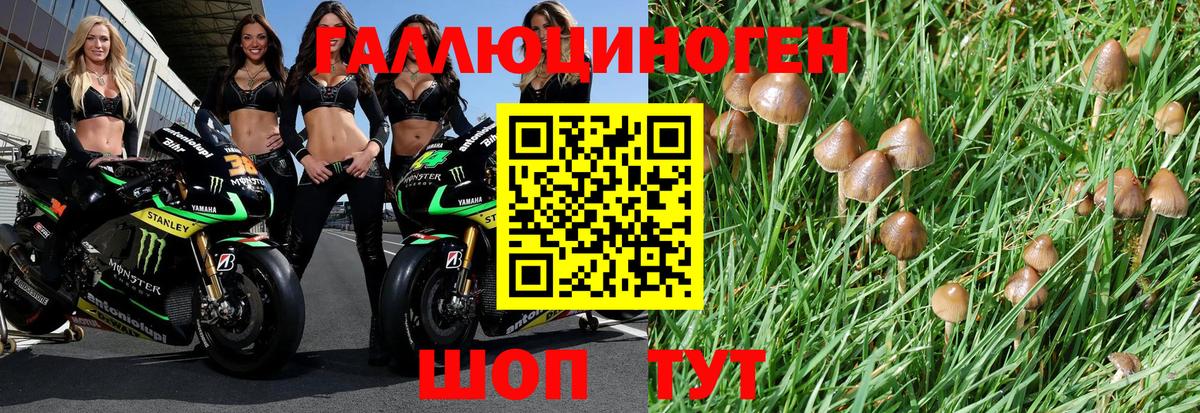 Псилоцибиновые грибы Magic Shrooms  Вход с VPN  Сегежа 